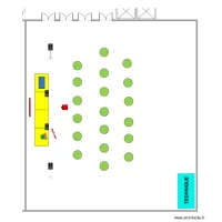 Vitalis Starling 02 2020