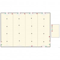 detection1