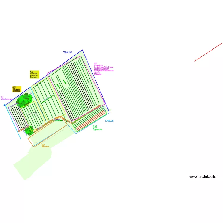 Les Champs de Langeais V2. Plan de 