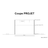 coupe projet