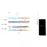 PDM 2019 RUN  MARCHE LH ALTERNATIVE
