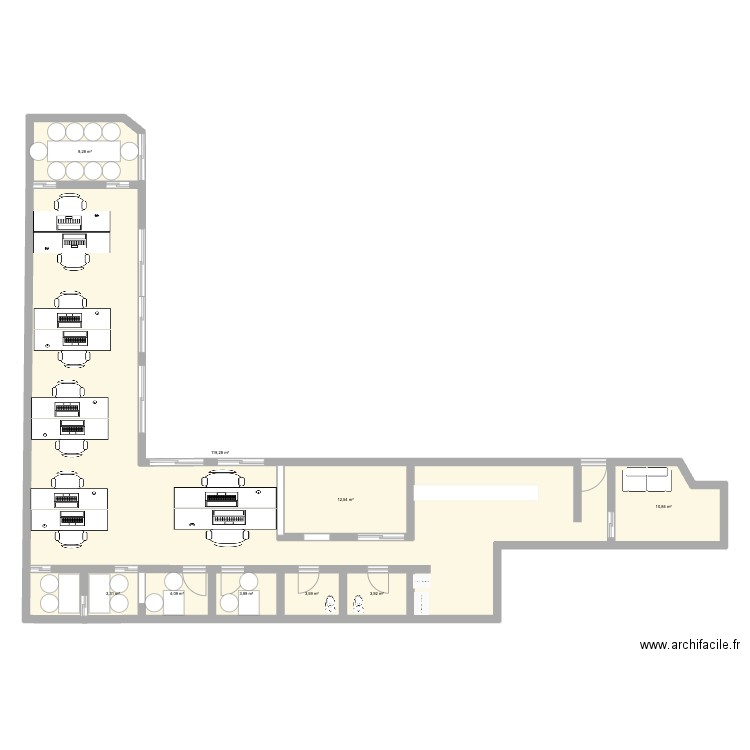 202504_organisation_cels_v1. Plan de 9 pièces et 171 m2