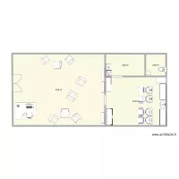 plan travail Cecilia