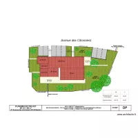 Plan masse projet citronniers