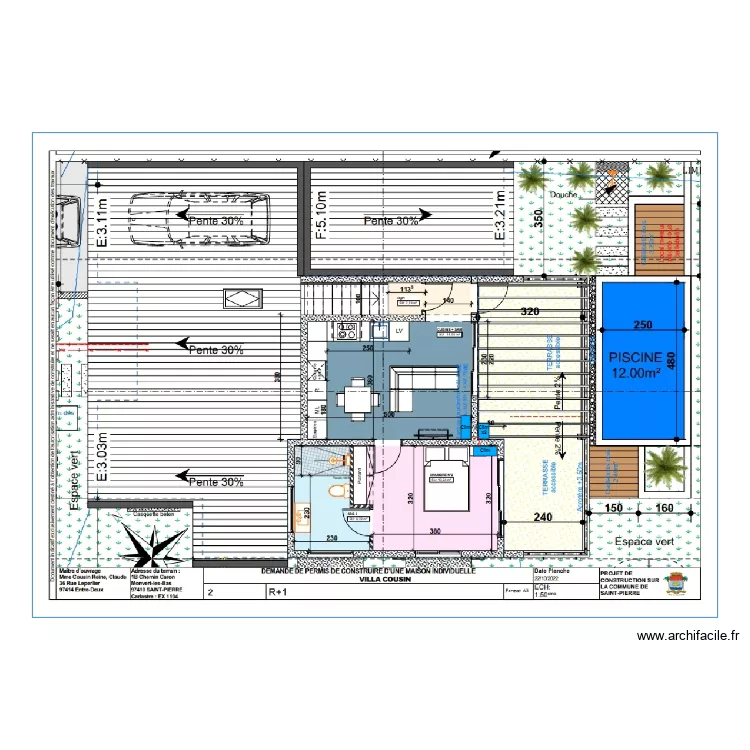 Reine-claude R+1. Plan de 
