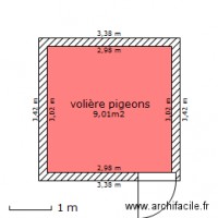 volière pigeons