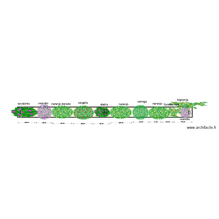 haie. Plan de 1 pièce et 15 m2