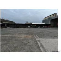 cour de ferme