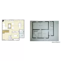 Projet Hirondelles 1