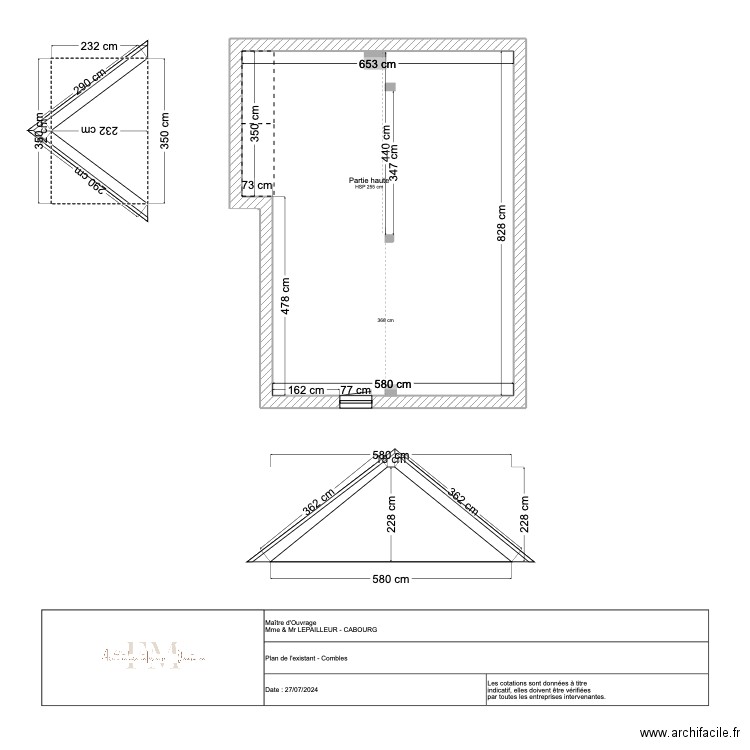 Plan existant combles LEPAILLEUR . Plan de 0 pièce et 0 m2