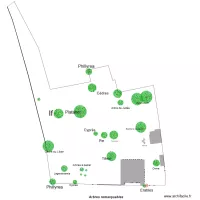 plan des arbres remarquables