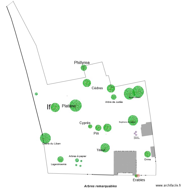 plan des arbres remarquables. Plan de 21 pièces et 520 m2