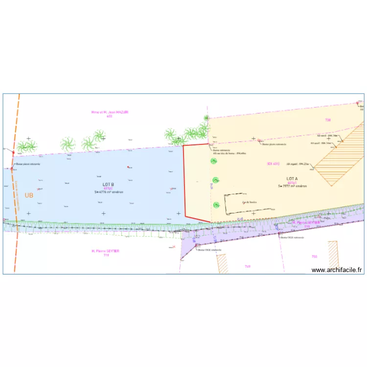 Bornage d&eacute;finitif. Plan de 