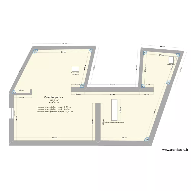 Combles projet initial. Plan de 1  et 111 m²