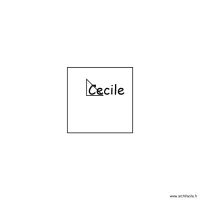 essai cecile