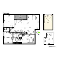 BI 30453