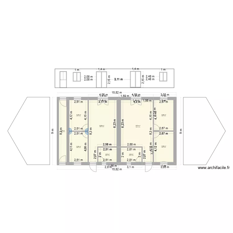 Plan jonquilles. Plan de 