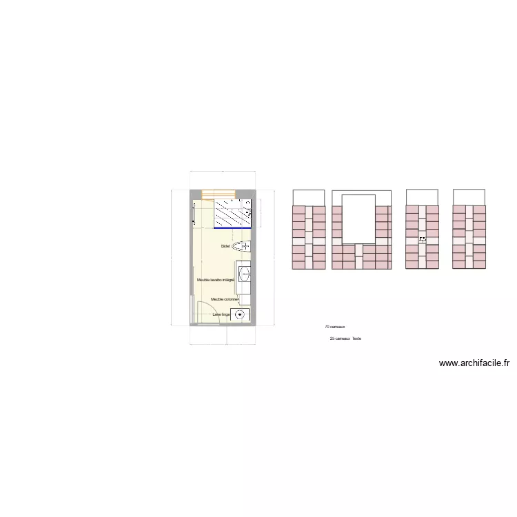 Salle de Bains RDC futur douche 120x90. Plan de 