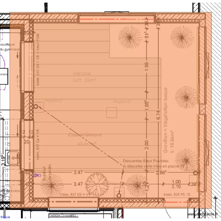 taillis. Plan de 