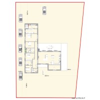 planta  cernache 1