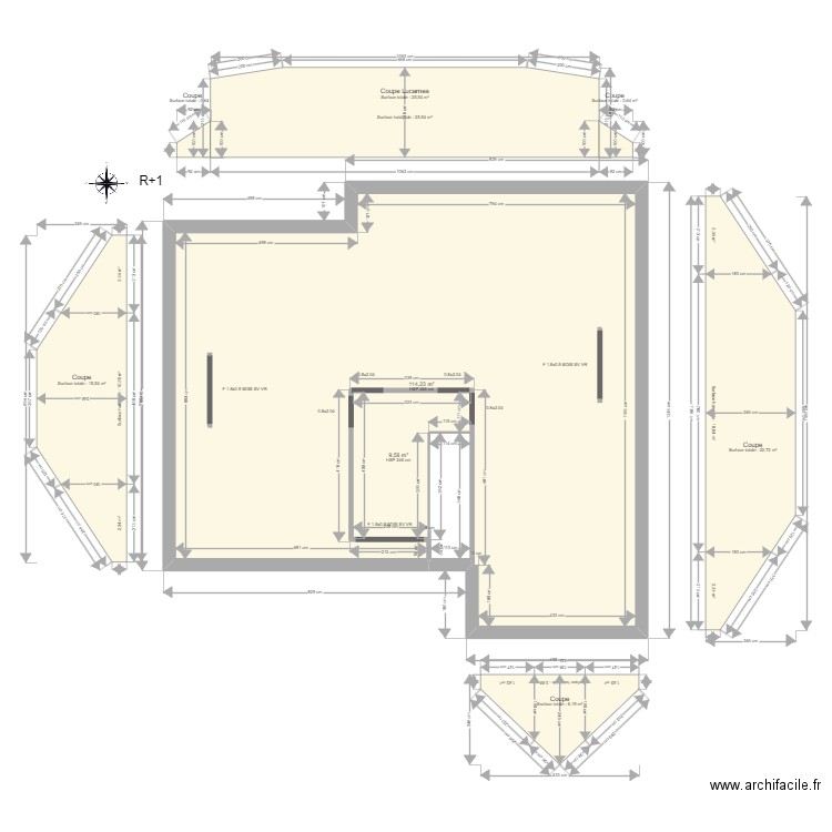 ML24010810 TSCHUDY R+1 et Coupe. Plan de 0 pièce et 0 m2