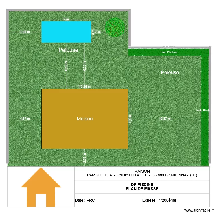 DP2 Pisicne - Plan de masse. Plan de DP2 Pisicne - Plan de masse. Plan de