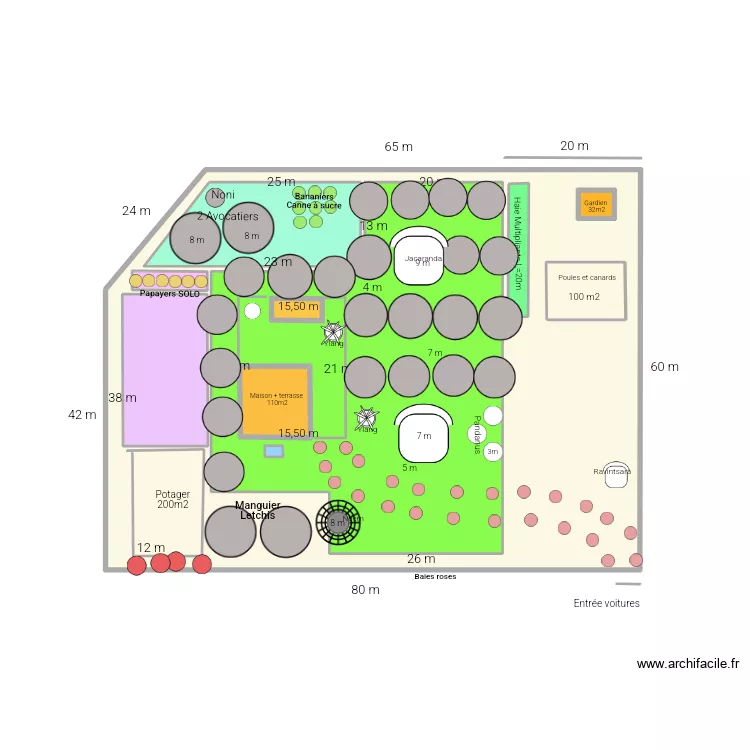 Plan Terrain Vierge. Plan de 