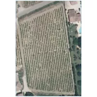 IGP surgreffage 2025