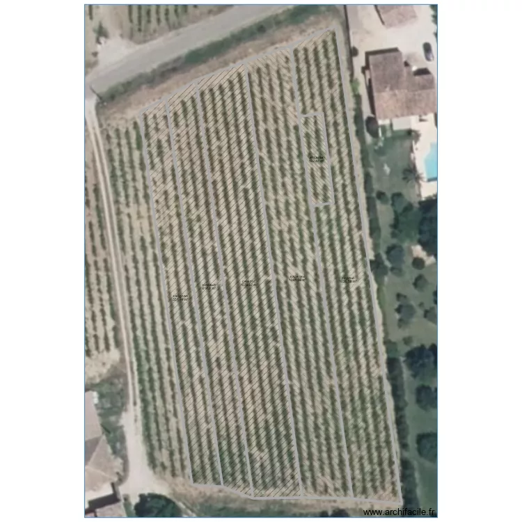 IGP surgreffage 2025. Plan de 