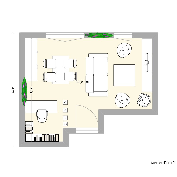 salon. Plan de 1 pièce et 24 m2