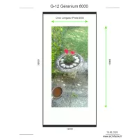 G-12 G&eacute;ranium 8000