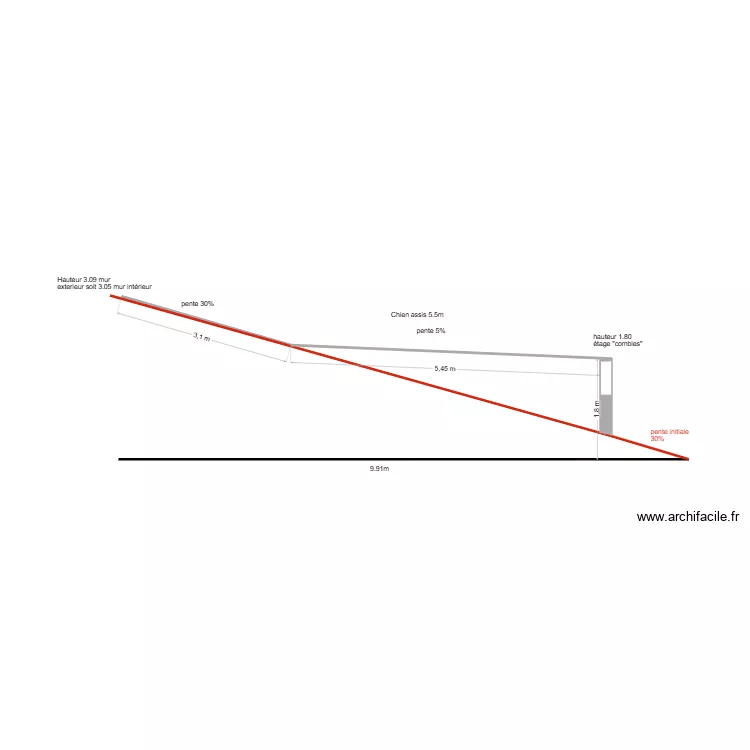 chien assis. Plan de 