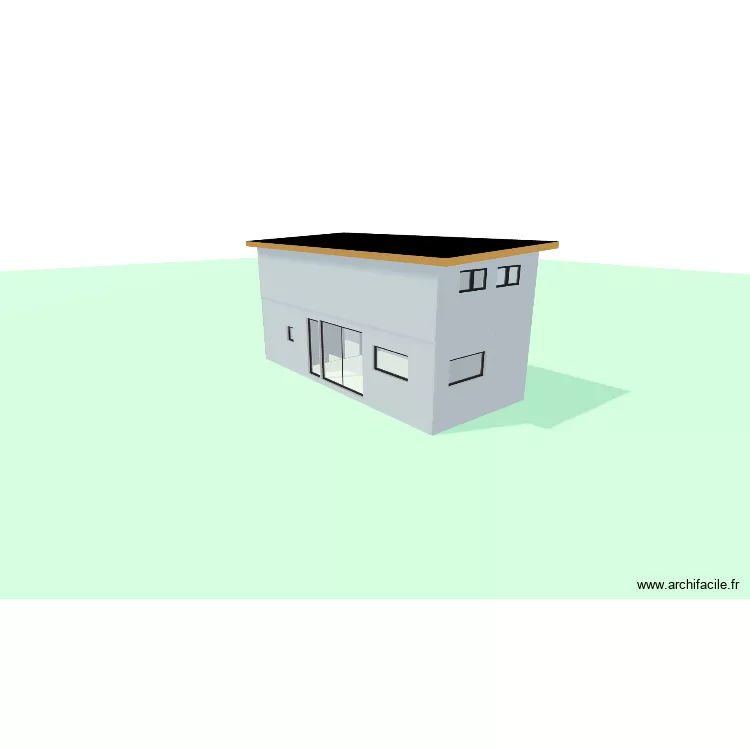 Tiny pas tout a fait tiny 2 niveaux. Plan de 