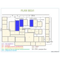 SELVI