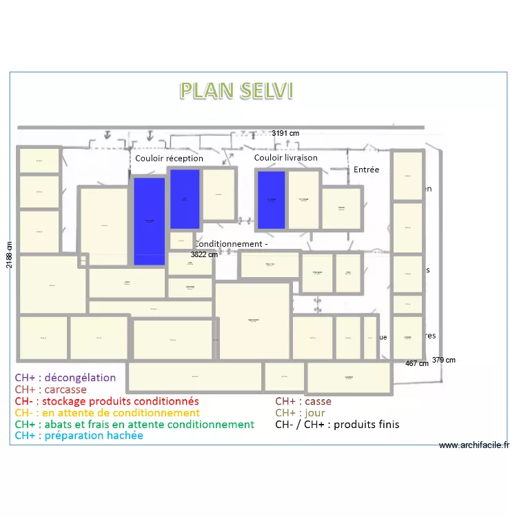 SELVI. Plan de 
