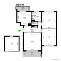 BI 20509