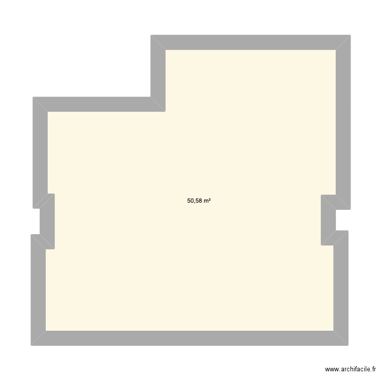 lyon 5 renovation. Plan de 1 pièce et 51 m2