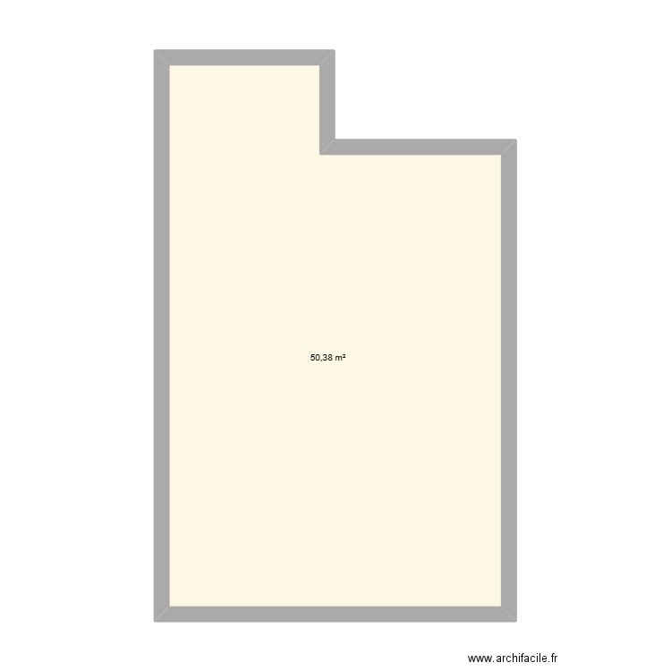 extension1. Plan de 1 pièce et 50 m2