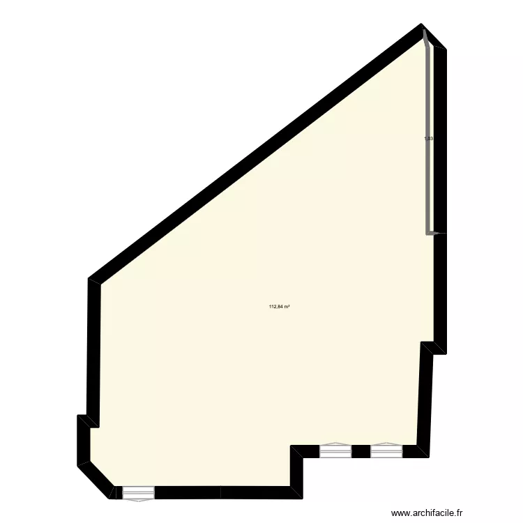 VICTOR HUGO vierge. Plan de 2  et 114 m²