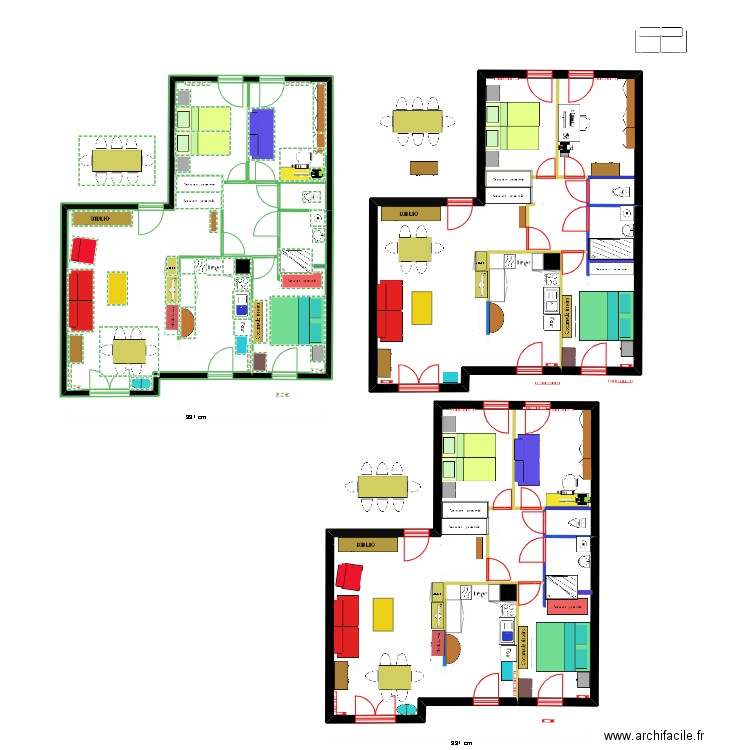 1  FEVRIER . Plan de 6 pièces et 247 m2