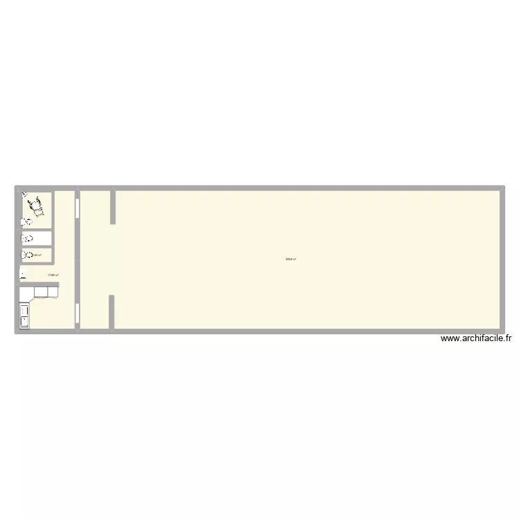 PLAN GRANDE SALLE ET SANITAIRE. Plan de 4 pièces et 229 m²